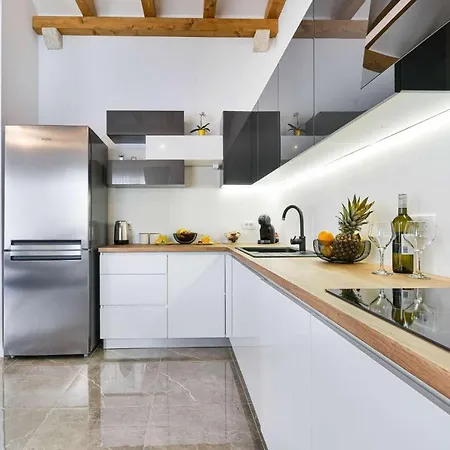 Luxury Stone Villa Banovi 别墅 维耶拉克