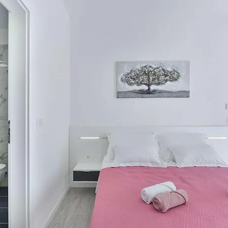 Luxury Stone Villa Banovi 别墅 维耶拉克